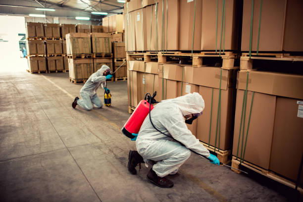 Reliable Indialantic, FL Pest Control Solutions