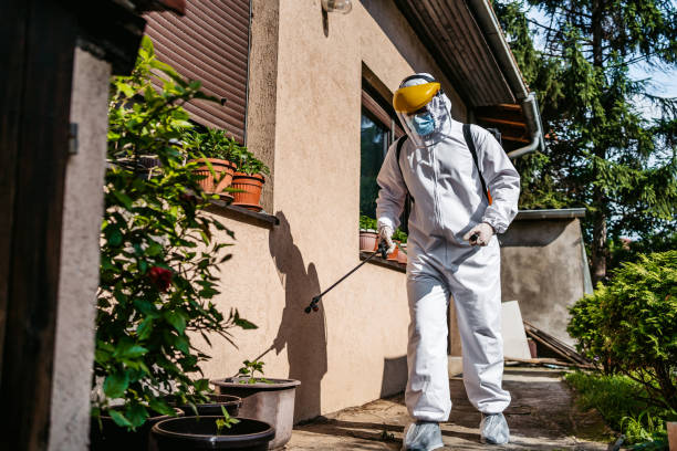 Best Mosquito Control Services  in Indialantic, FL