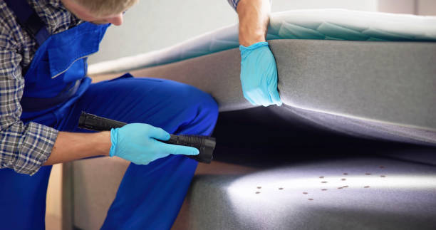 Pest Prevention Services in Indialantic, FL