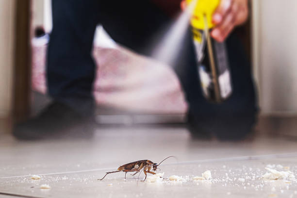 Wildlife Control Services in Indialantic, FL